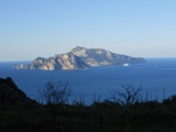 Clicca qui per vedere l'immagine in dettaglio